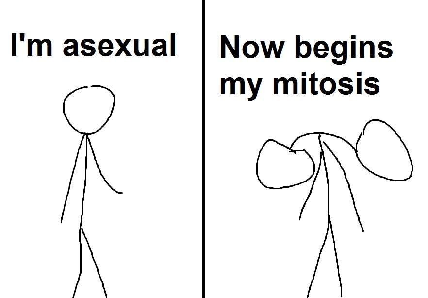 Asexual Memes